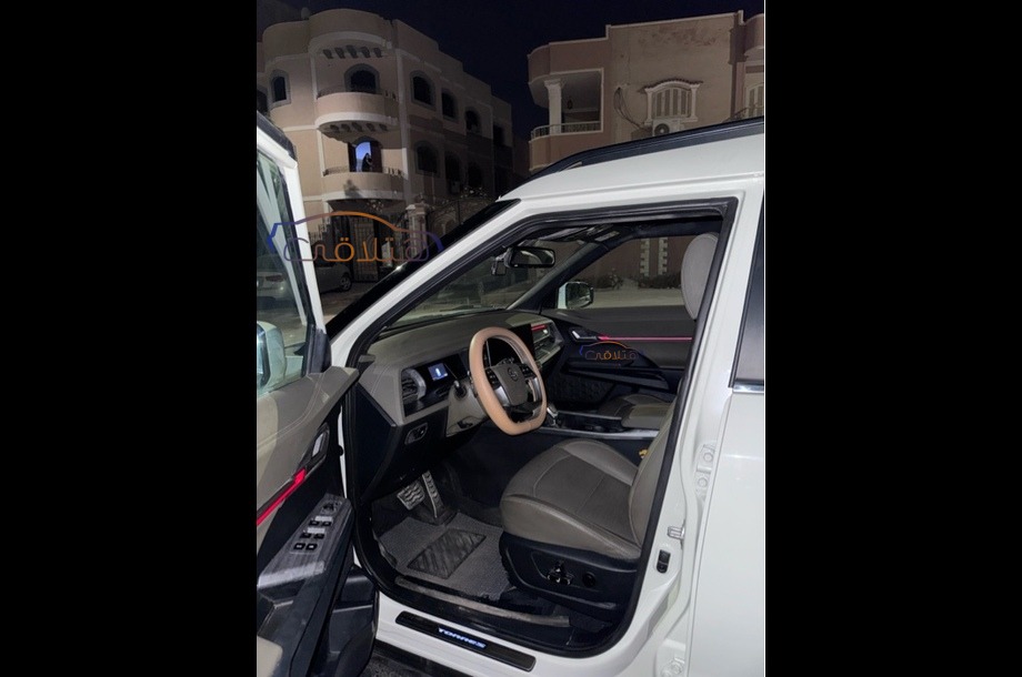 Torres Ssang Yong أبيض