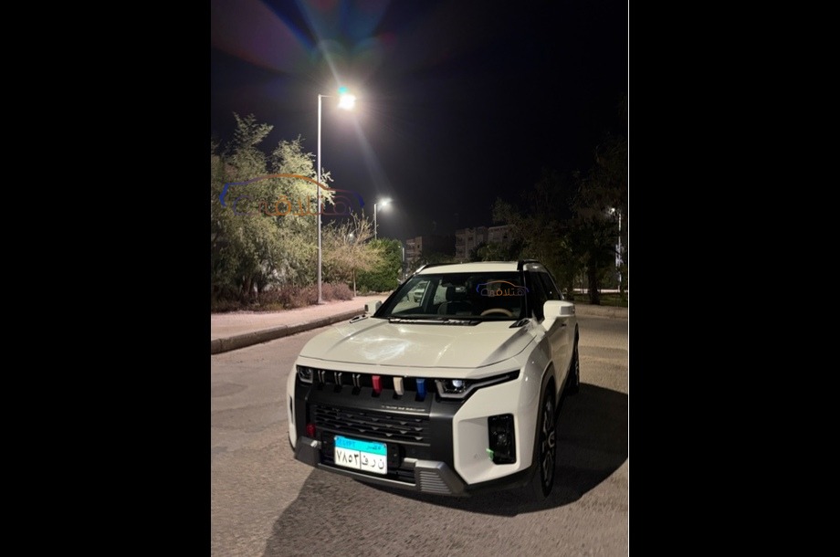 Torres Ssang Yong أبيض