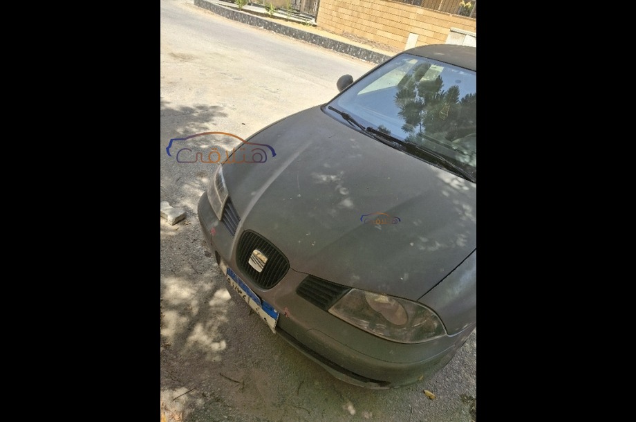 Ibiza Seat Silver