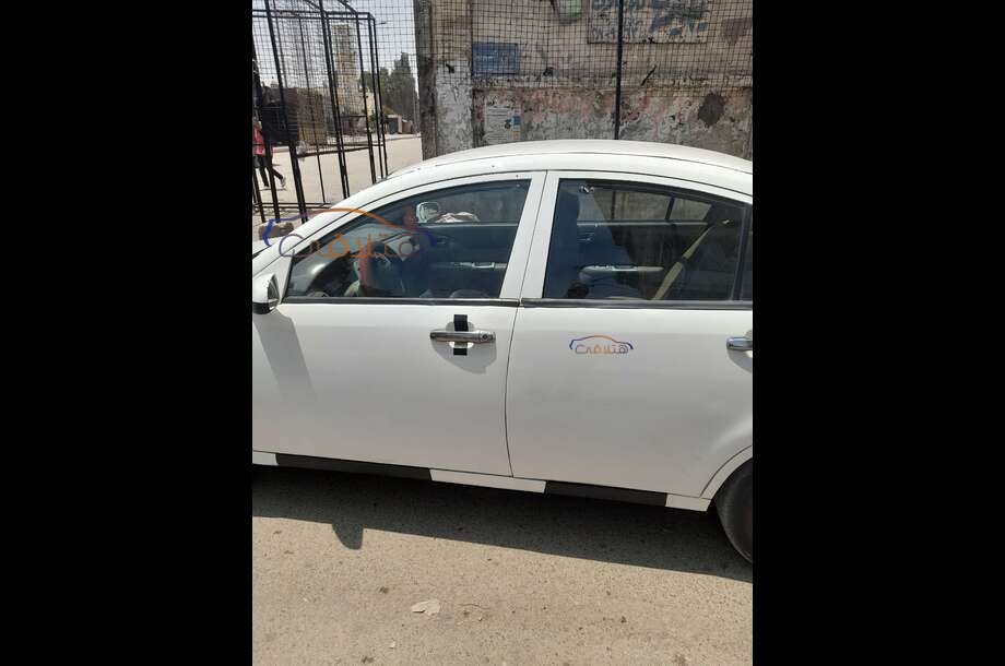 A516 Speranza أبيض