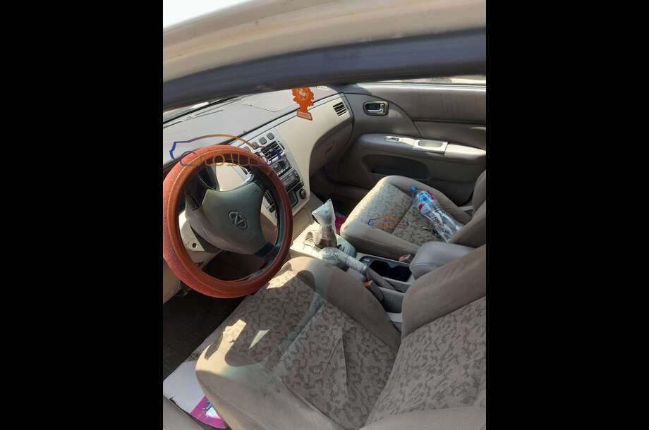 A516 Speranza أبيض