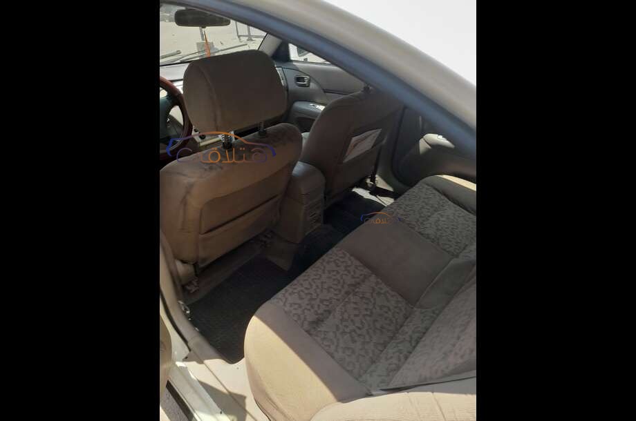 A516 Speranza أبيض