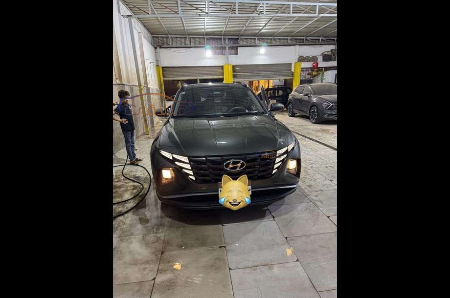 Tucson Hyundai Petroleum