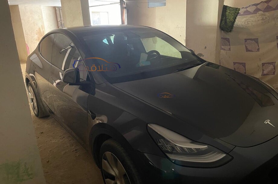 Model Y Tesla Gray