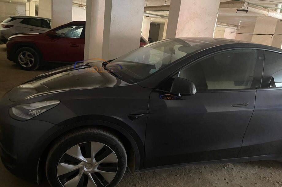 Model Y Tesla Gray