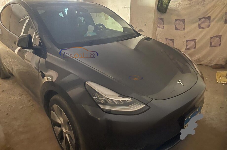 Model Y Tesla Gray