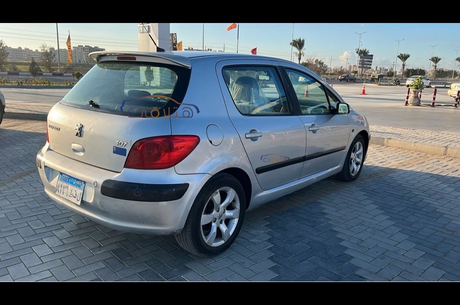 307 Peugeot Silver