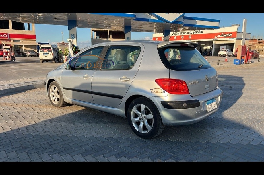 307 Peugeot Silver