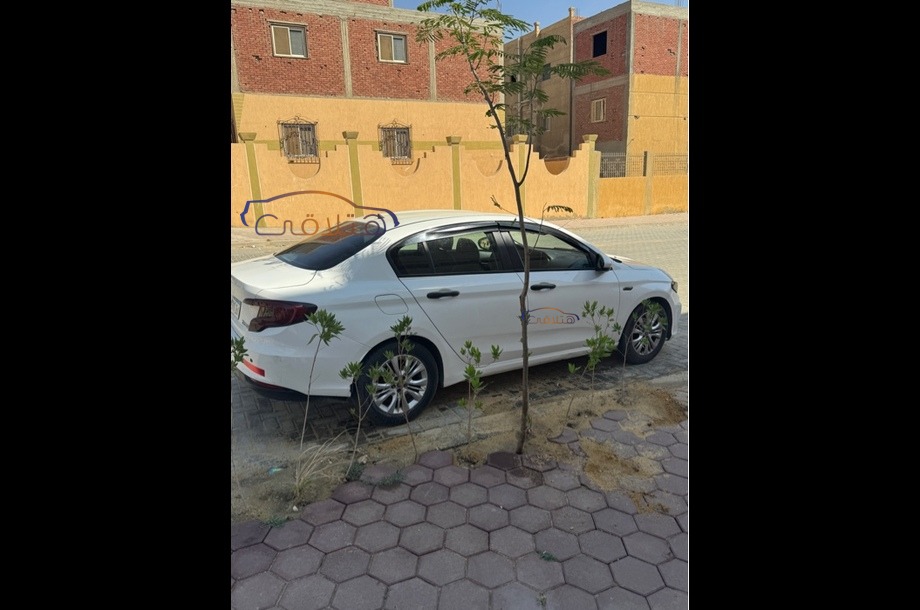 Tipo Fiat أبيض