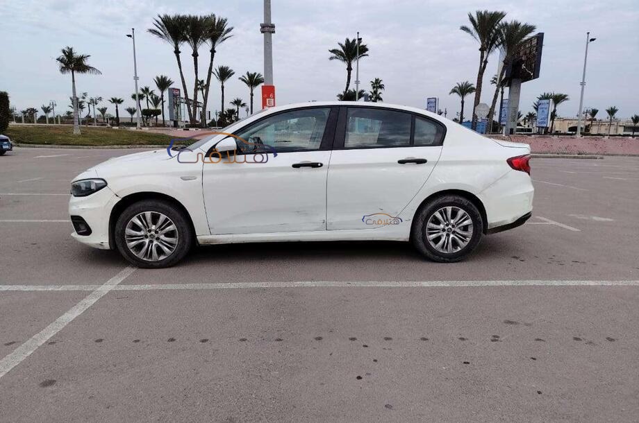 Tipo Fiat أبيض
