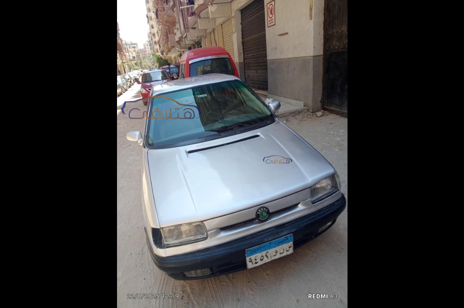 Felicia Skoda Silver