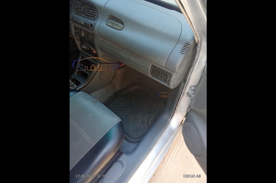 Felicia Skoda Silver