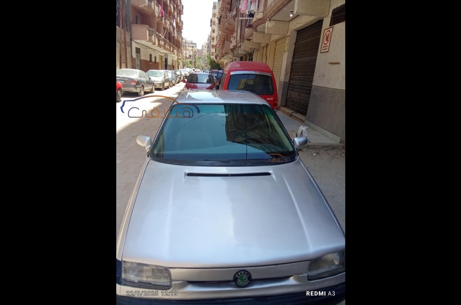 Felicia Skoda Silver