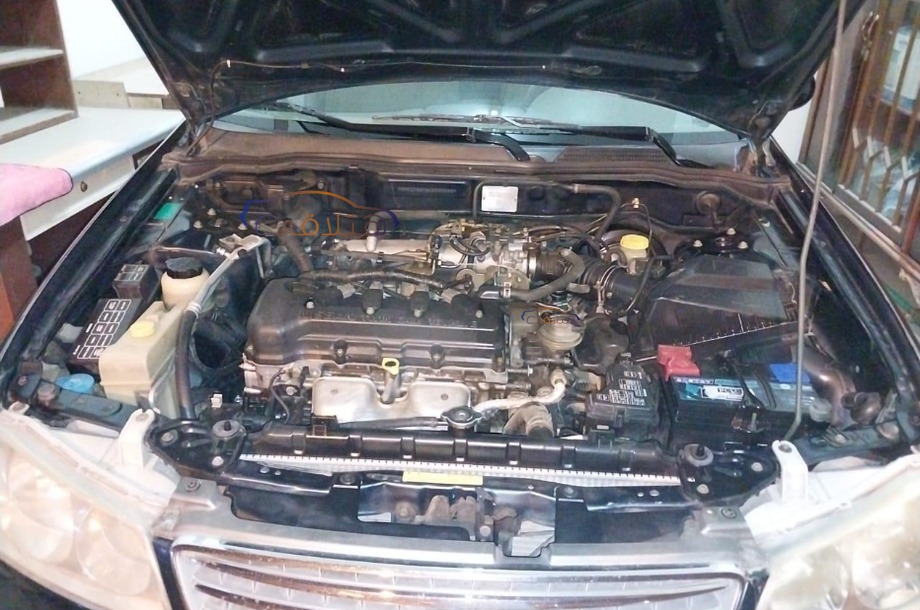 Sunny Nissan أخضر