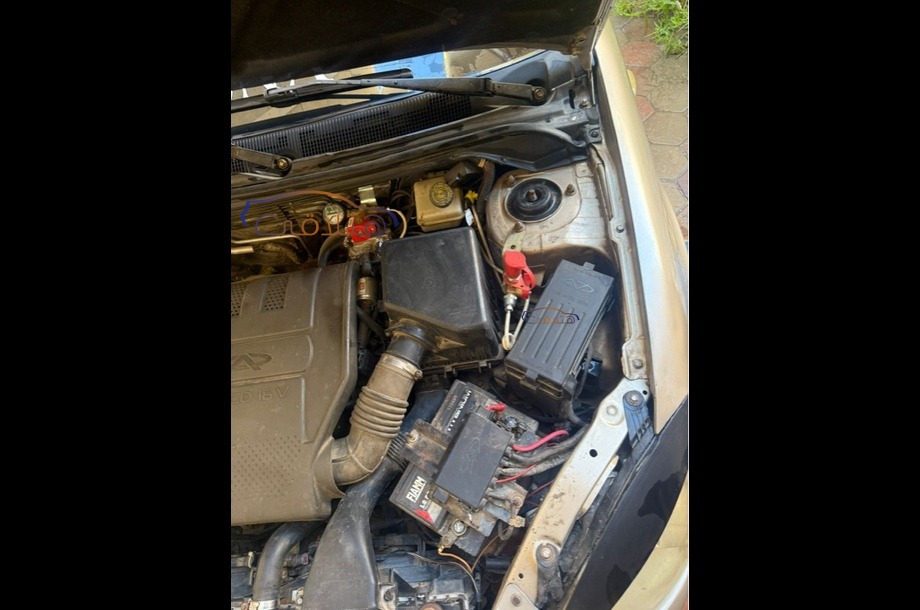 A516 Speranza برونزي