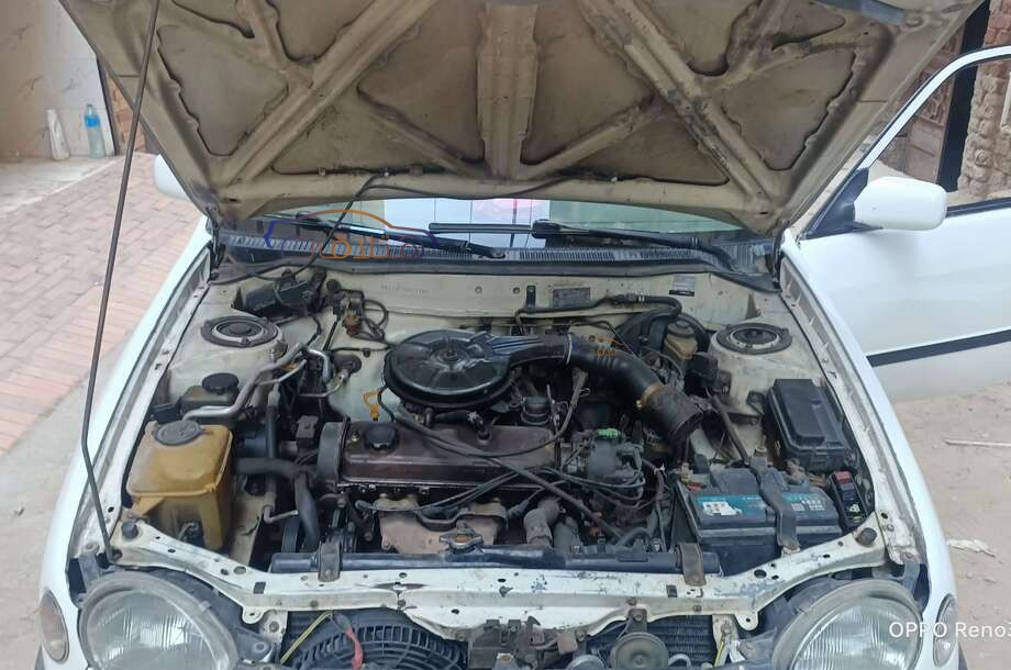 Corolla Toyota White