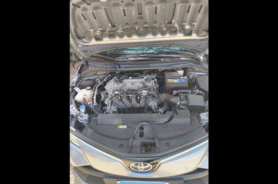 Corolla Toyota Petroleum