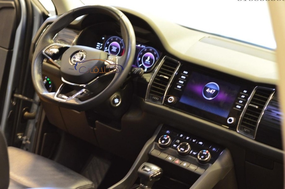 Kodiaq Skoda فضي