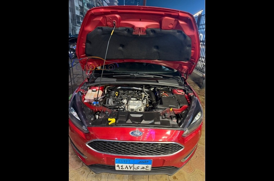 Focus Ford Red