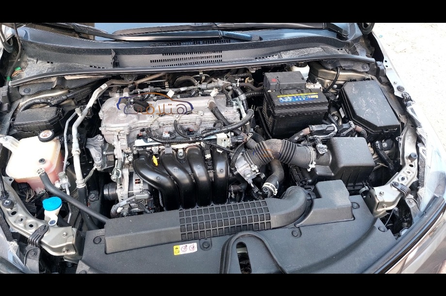 Corolla Toyota Dark green