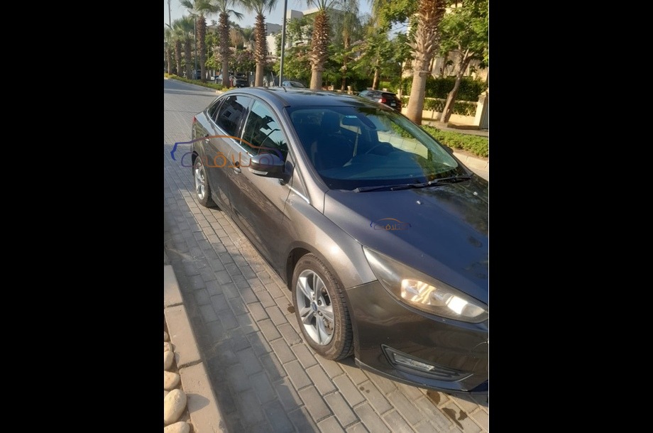 Focus Ford Gray