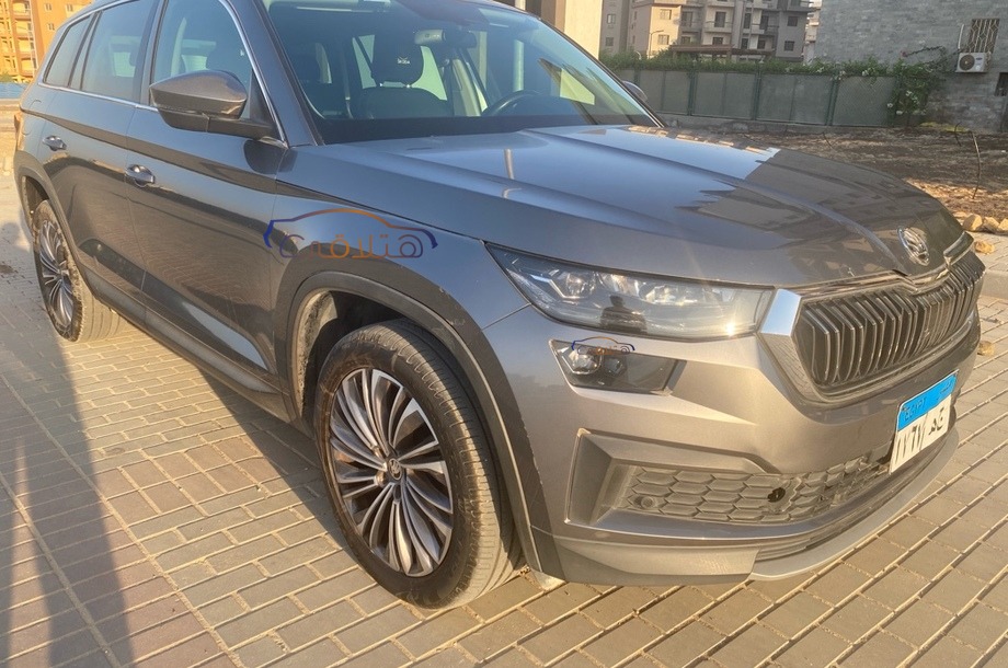 Kodiaq Skoda Gray