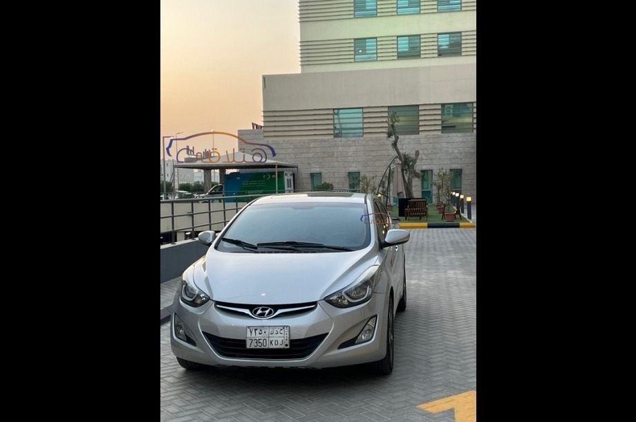 Other Volkswagen Gray