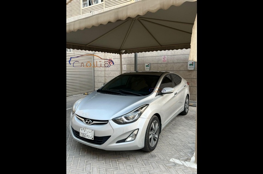 Other Volkswagen Gray