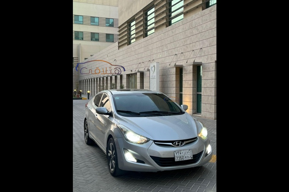 Other Volkswagen Gray