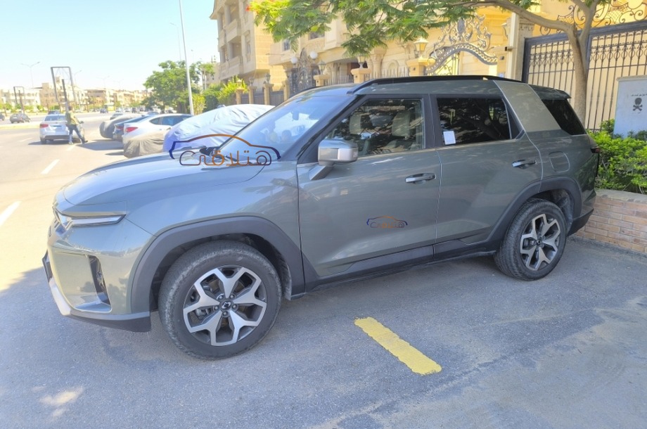 Torres Ssang Yong اخضر غامق