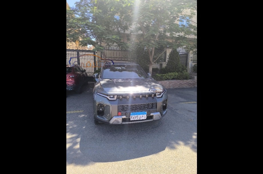 Torres Ssang Yong اخضر غامق