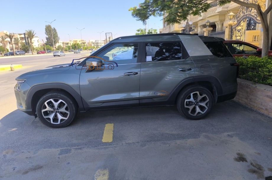 Torres Ssang Yong اخضر غامق