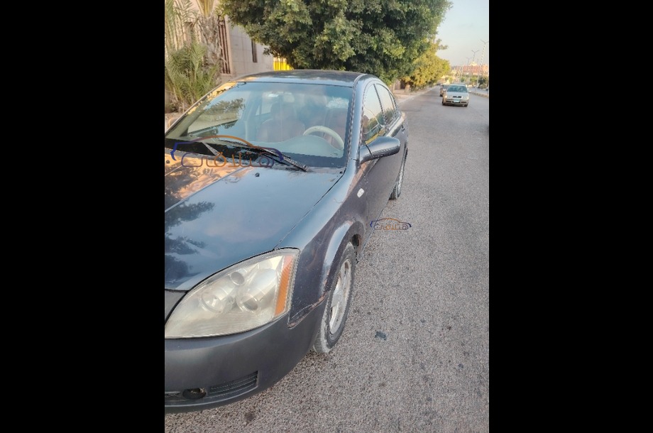 A516 Speranza الأزرق الداكن