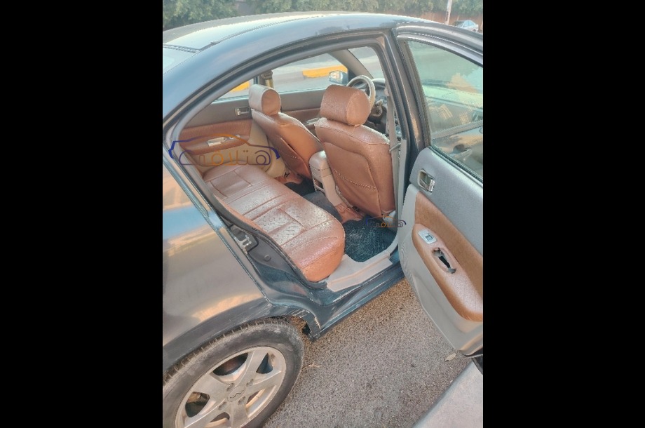 A516 Speranza الأزرق الداكن