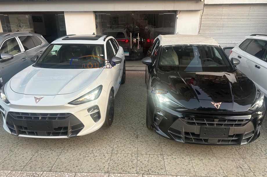 Terramar Cupra White