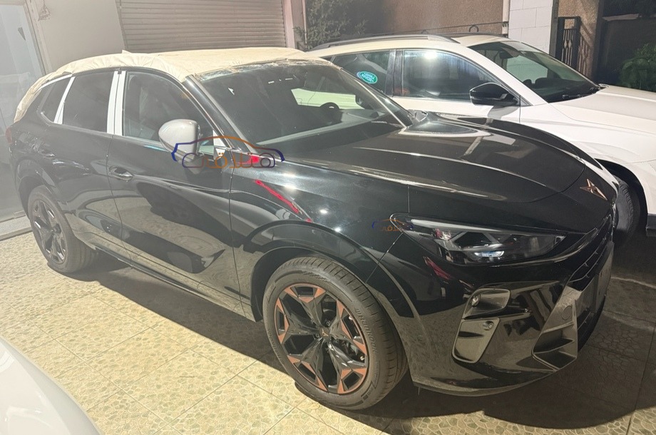 Terramar Cupra White