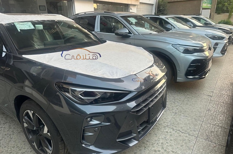 Terramar Cupra White