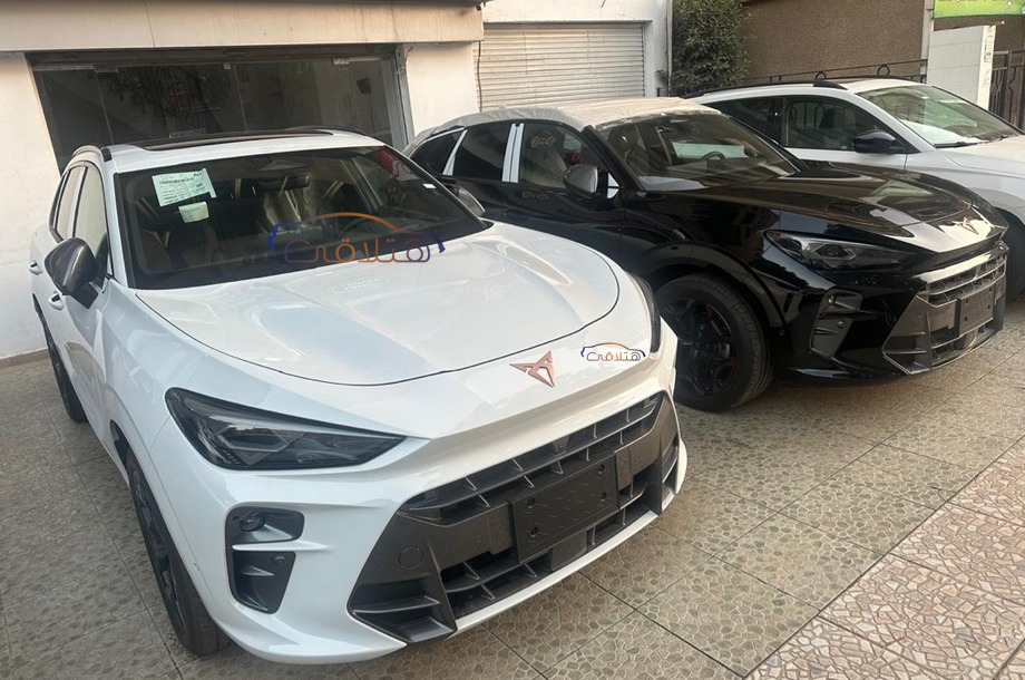 Terramar Cupra White