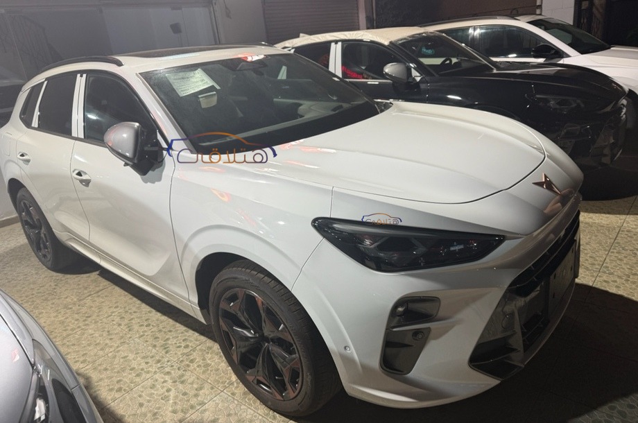 Terramar Cupra White