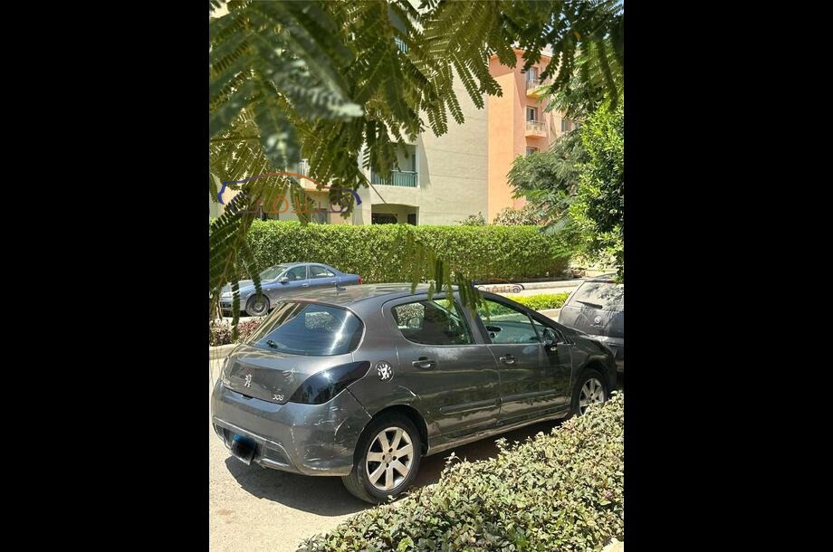 308 Peugeot Gray