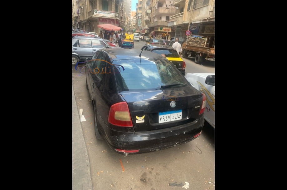 Fantasia Skoda Black