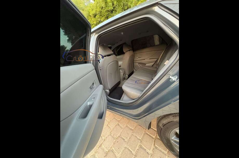 Elantra Hyundai Dark green