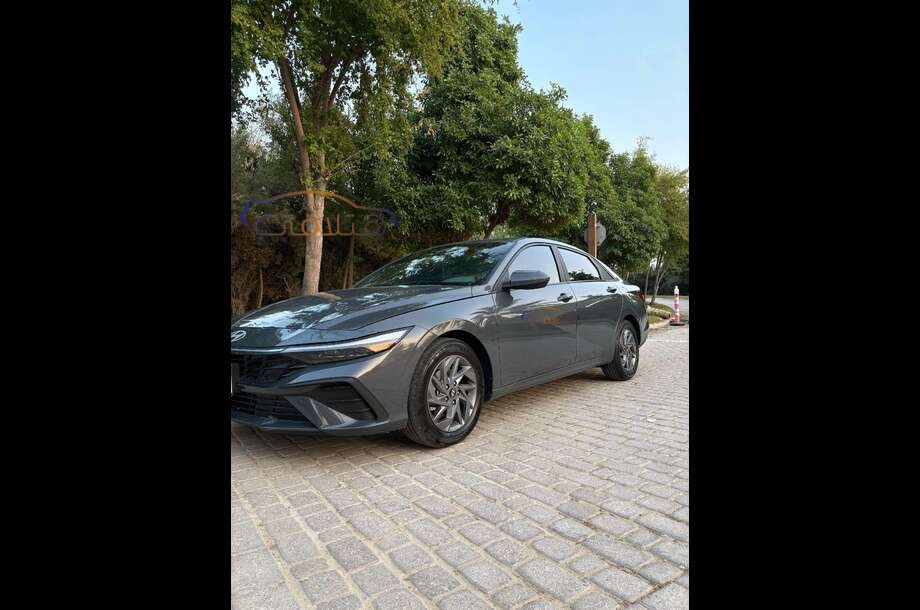 Elantra Hyundai Dark green