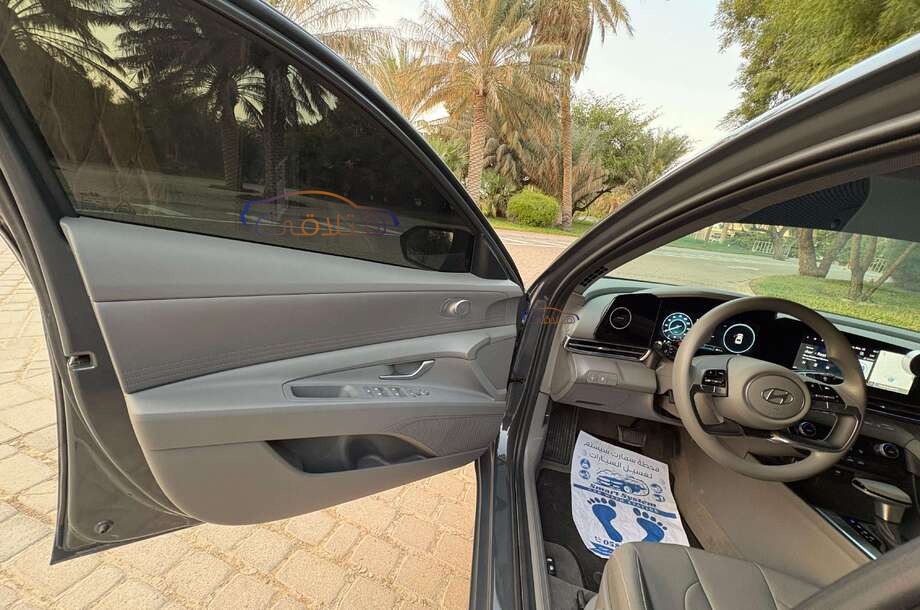 Elantra Hyundai Dark green