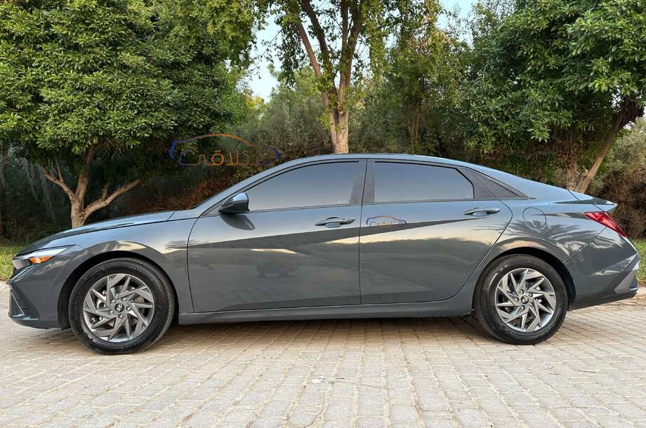 Elantra Hyundai Dark green