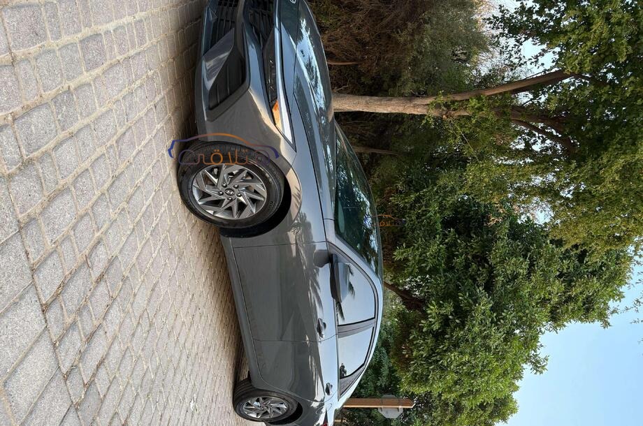 Elantra Hyundai Dark green