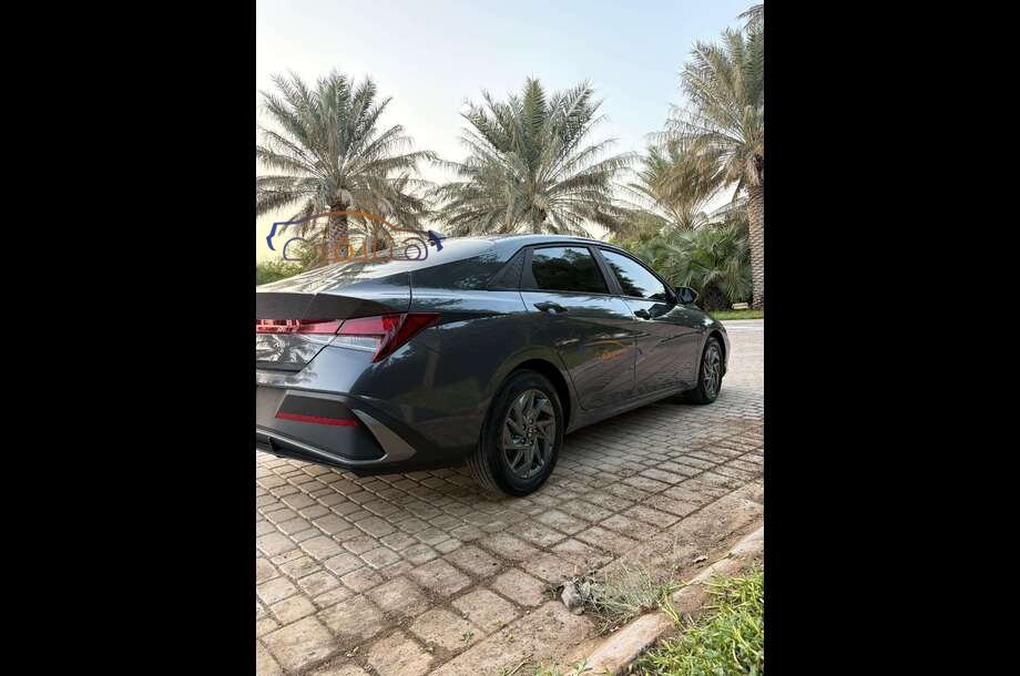 Elantra Hyundai Dark green