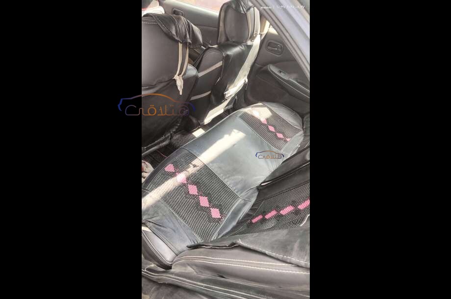 Sunny Nissan Eggplant