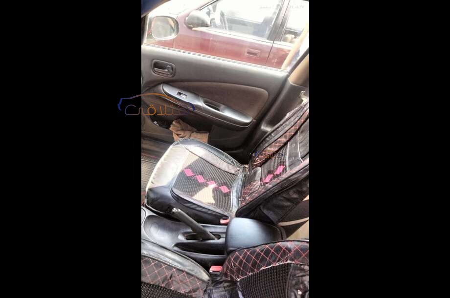 Sunny Nissan Eggplant