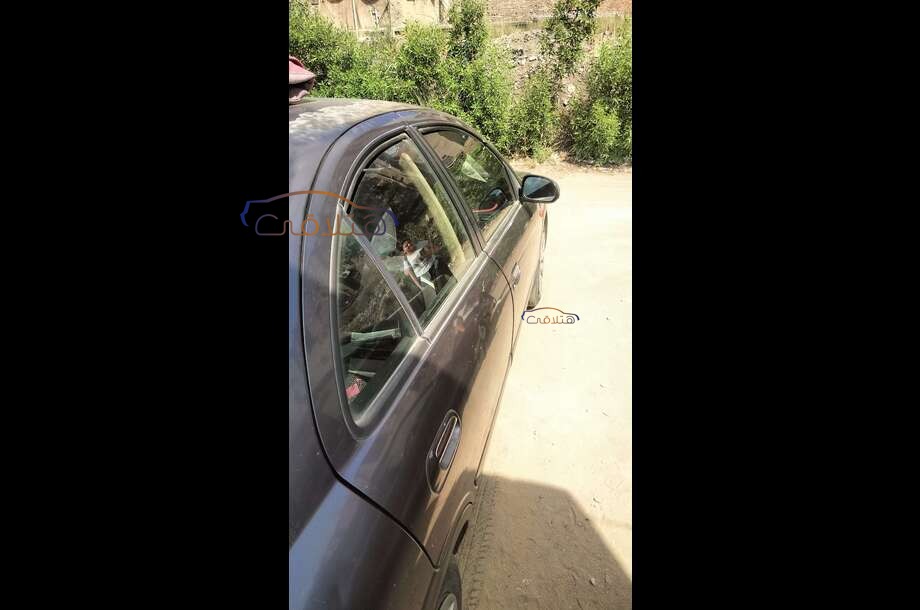 Sunny Nissan Eggplant